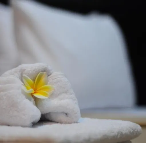 Homestay Amerta Bali *